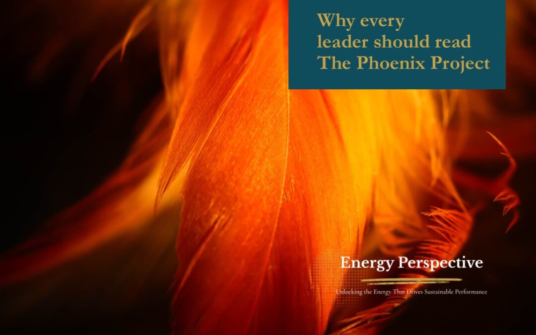 Reflections on The Phoenix Project by Gene Kim, Kevin Behr & George Spafford