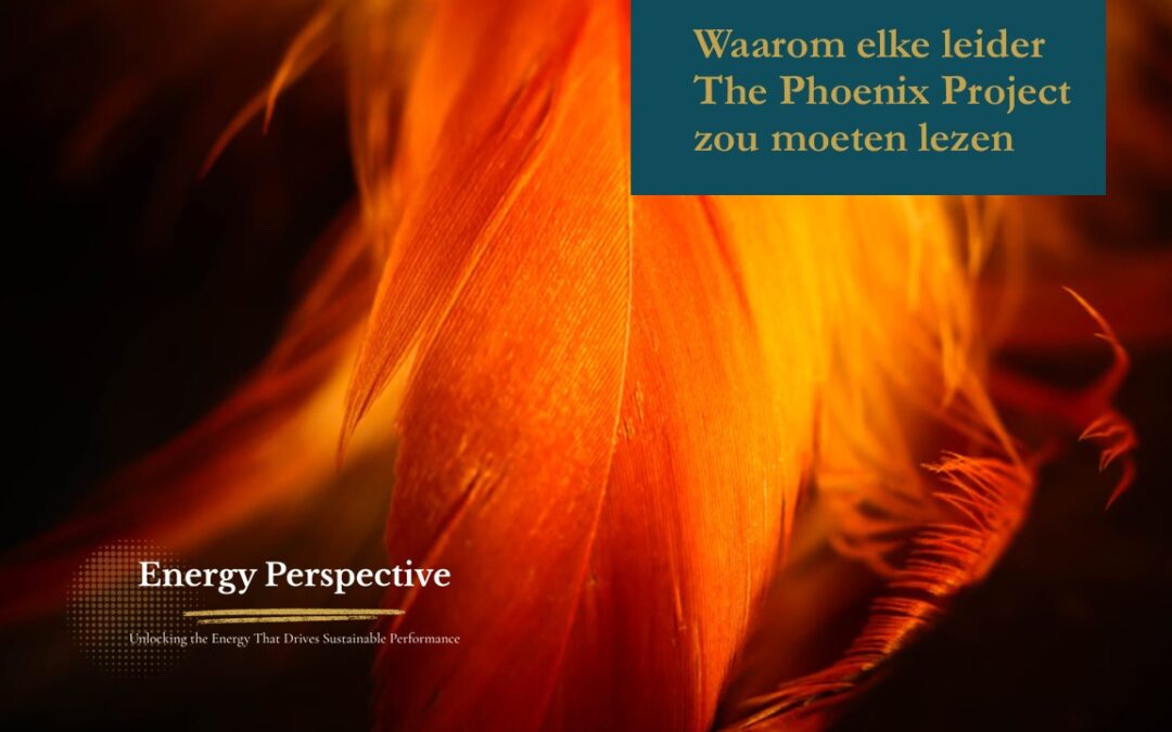 Reflecties op The Phoenix Project van Gene Kim, Kevin Behr & George Spafford